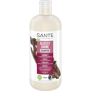 Sante Šampon pro intenzivní lesk vlasů Bříza & 3fázový proteinový komplex 500 ml