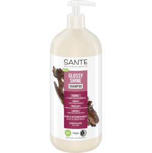 Sante Šampon pro intenzivní lesk vlasů Bříza & 3fázový proteinový komplex 950 ml